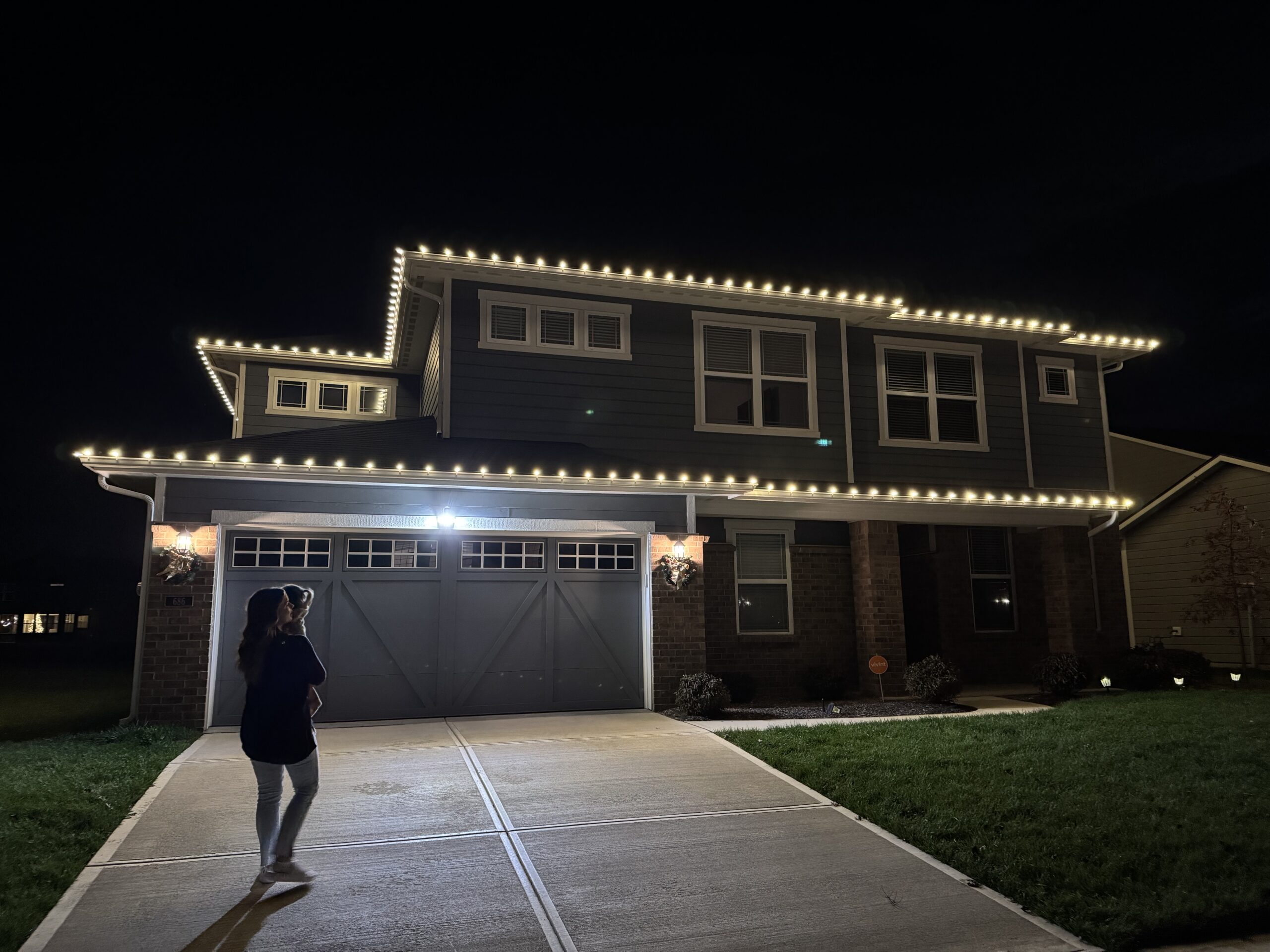 Custom holiday lights on trees and bushes in Fishers Indiana